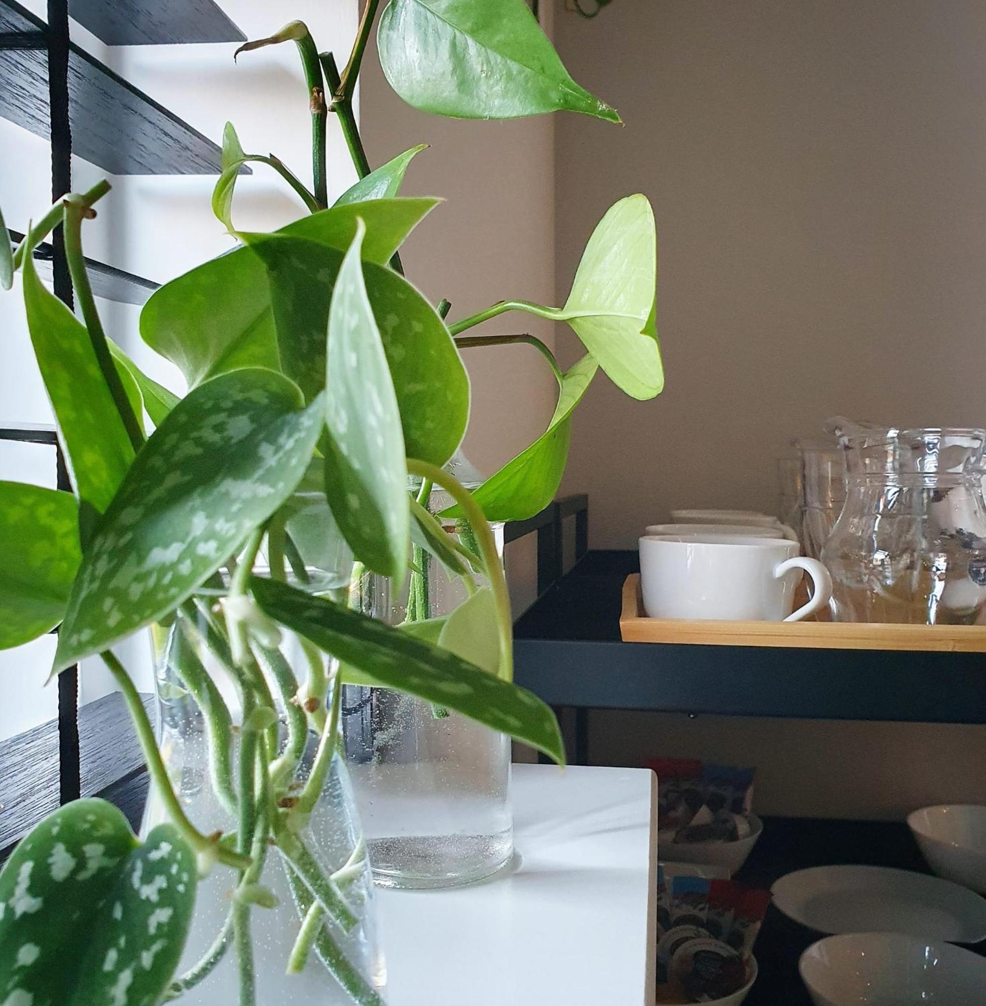 Bed And Breakfast 'Wij En De Zande' - Kamer Met Vide Kamperveen Eksteriør bilde